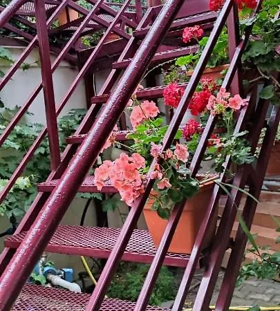 Apartament Ruxandra Năvodari