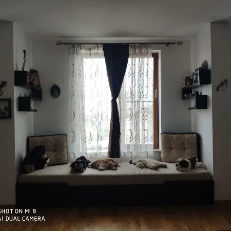 Appartement Apartament Ruxandra